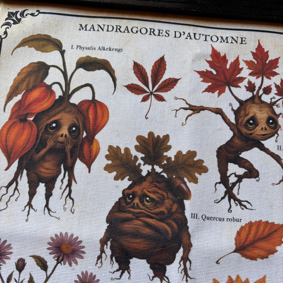 Poster tissu Mandragores d’Automne. Décoration murale botanique dark academia. Largeur 28 cm