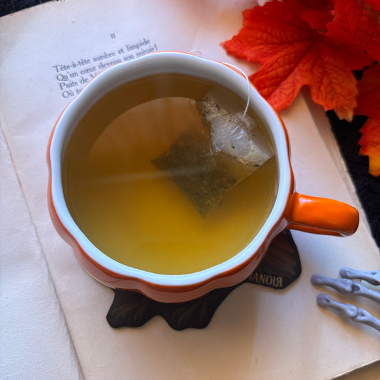 Sous-tasse Oiseau Citrouille en Simili cuir illustré