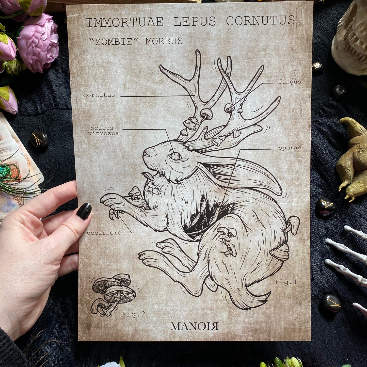 Zombie Lepus Cornutus. Impression A4.