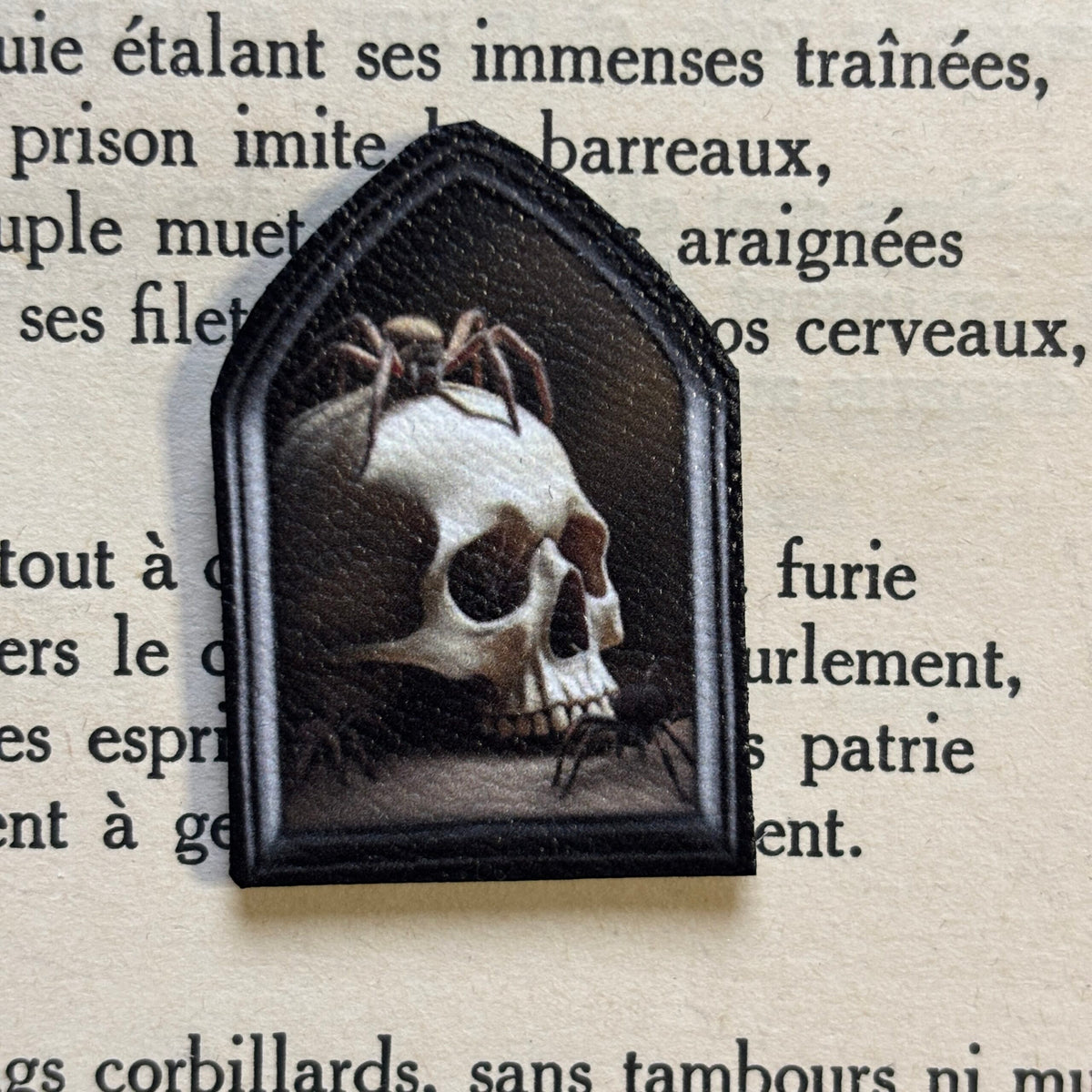 Magnet. Les Araignées