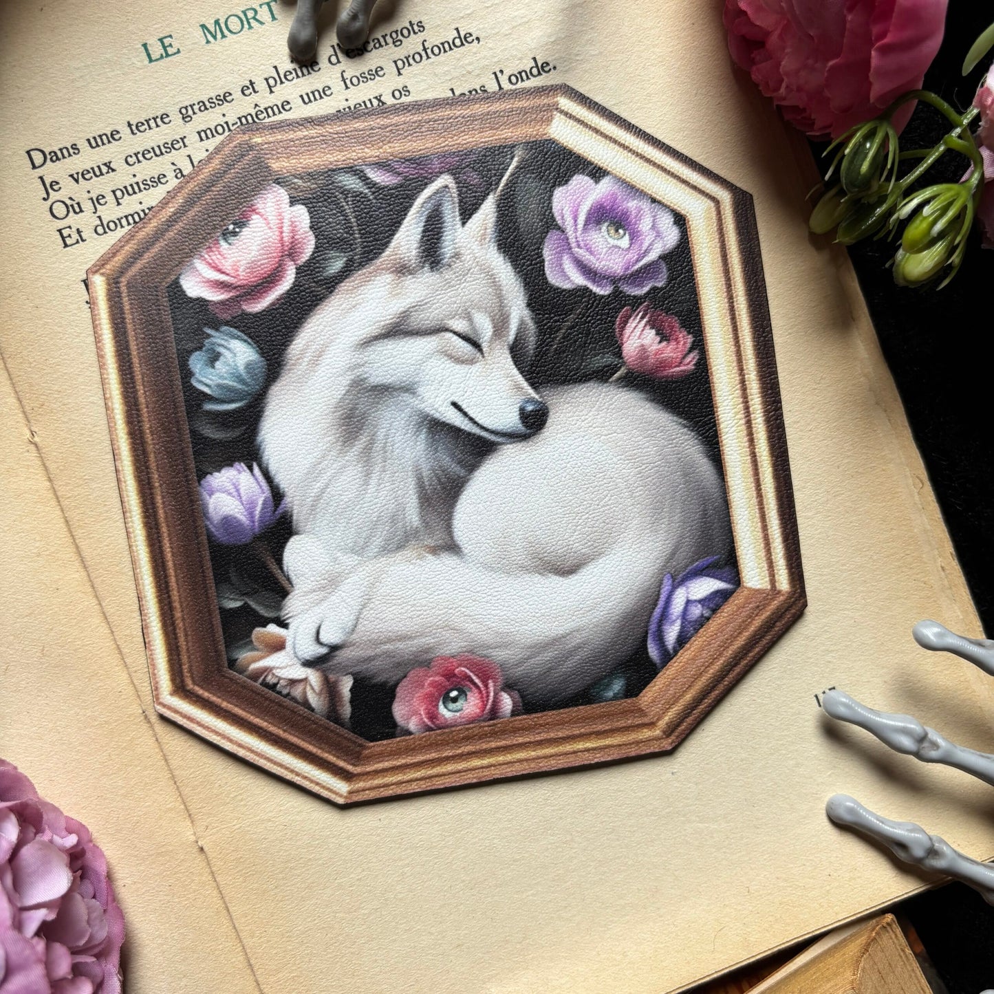 Sous Tasse. Le repos du Loup