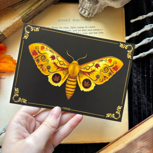 Papillon automne vintage. Impression A6