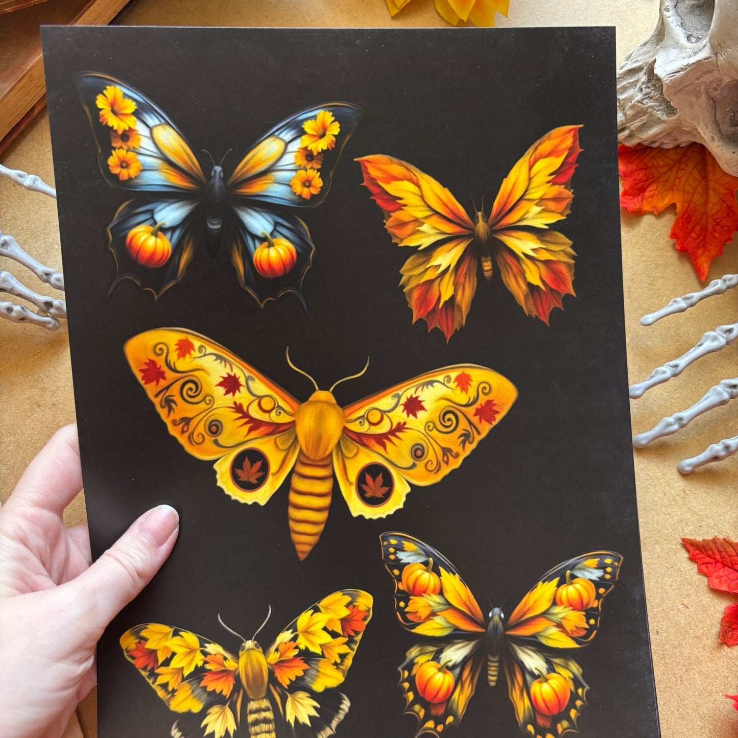 Papillons d’Automne. Planche Illustrée. Créatures Ailées de la Forêt. Impression A4