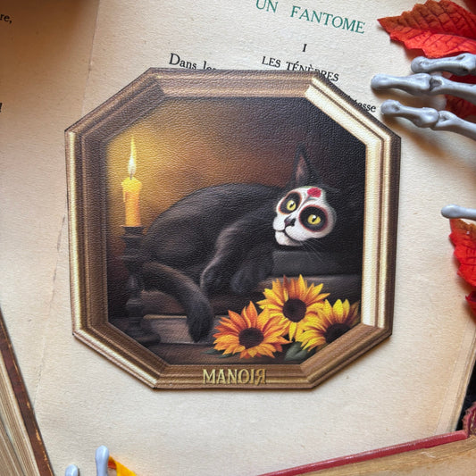 Sous Tasse. Selkie 🖤. Chat noir calavera