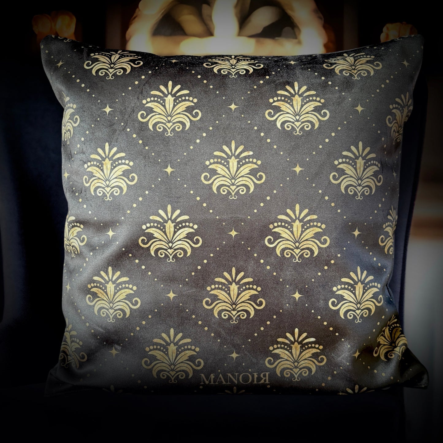 Rat de bibliothèque. Housse de coussin