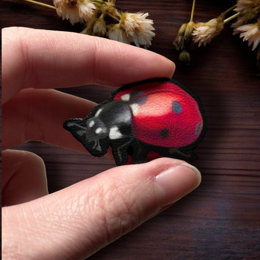 Pin’s. Coccinelle. Bijoux de col, sac, pull