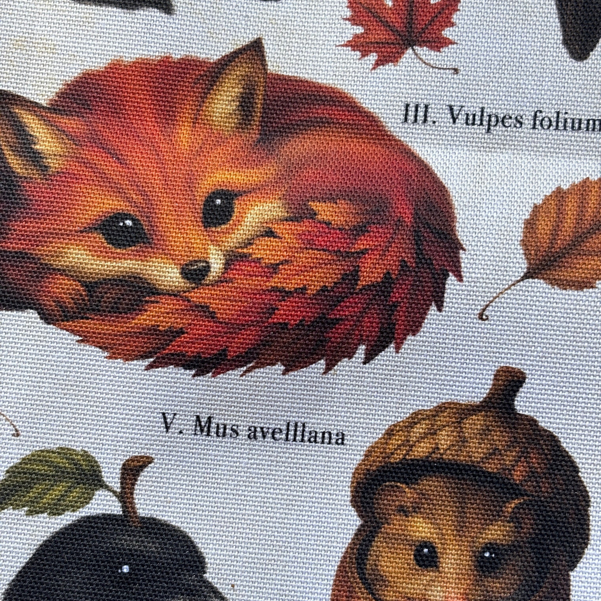 Poster tissu Curieuse Faune Automnale. Décoration murale botanique dark academia. Largeur 28 cm