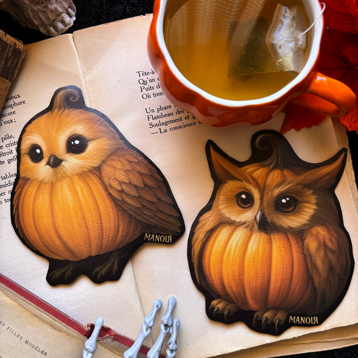 Sous-tasse Chouette Citrouille en Simili cuir illustré