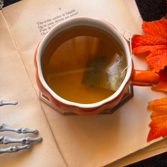 Sous-tasse Rouge-gorge Citrouille en simili cuir illustré