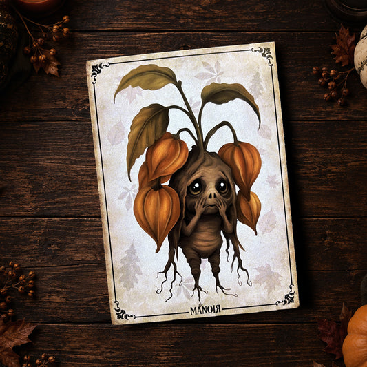 Carte postale Mandragore Physalis. Illustration botanique automnale