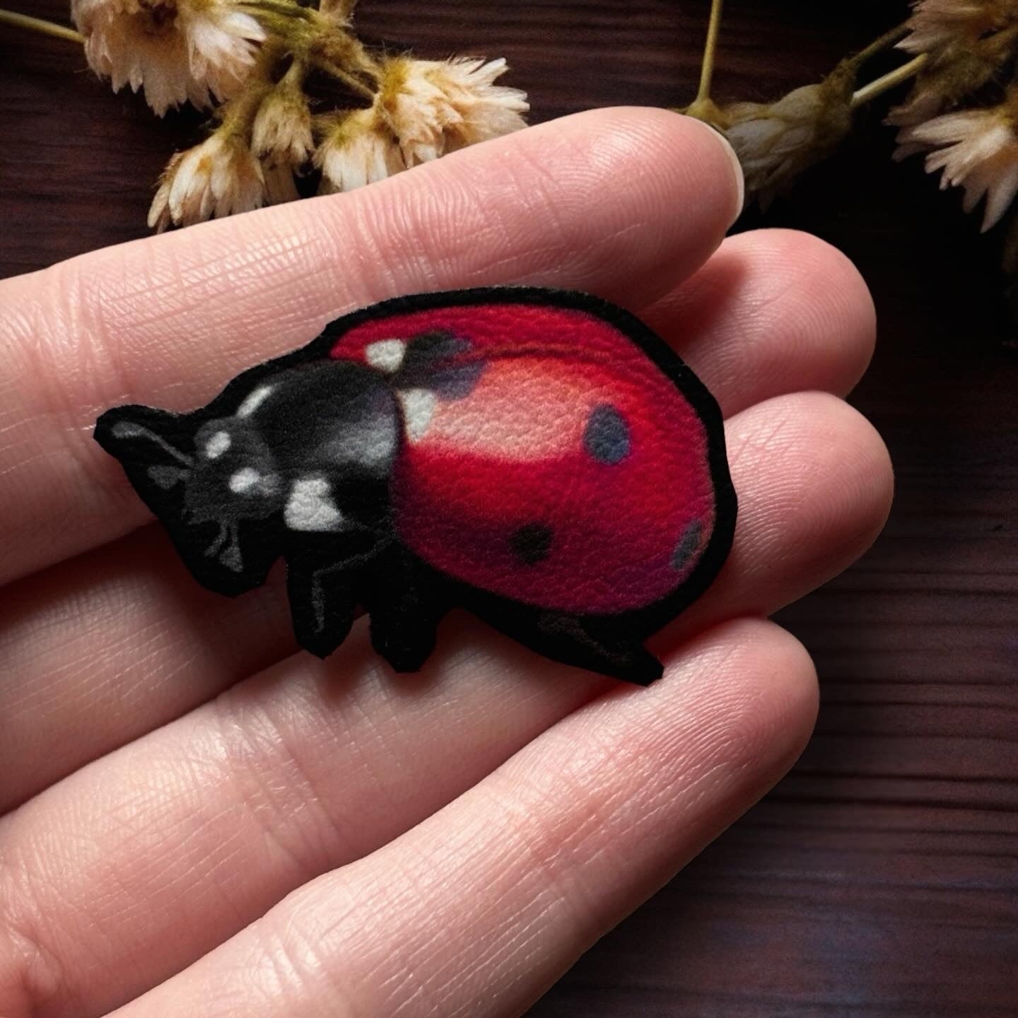 Pin’s. Coccinelle. Bijoux de col, sac, pull