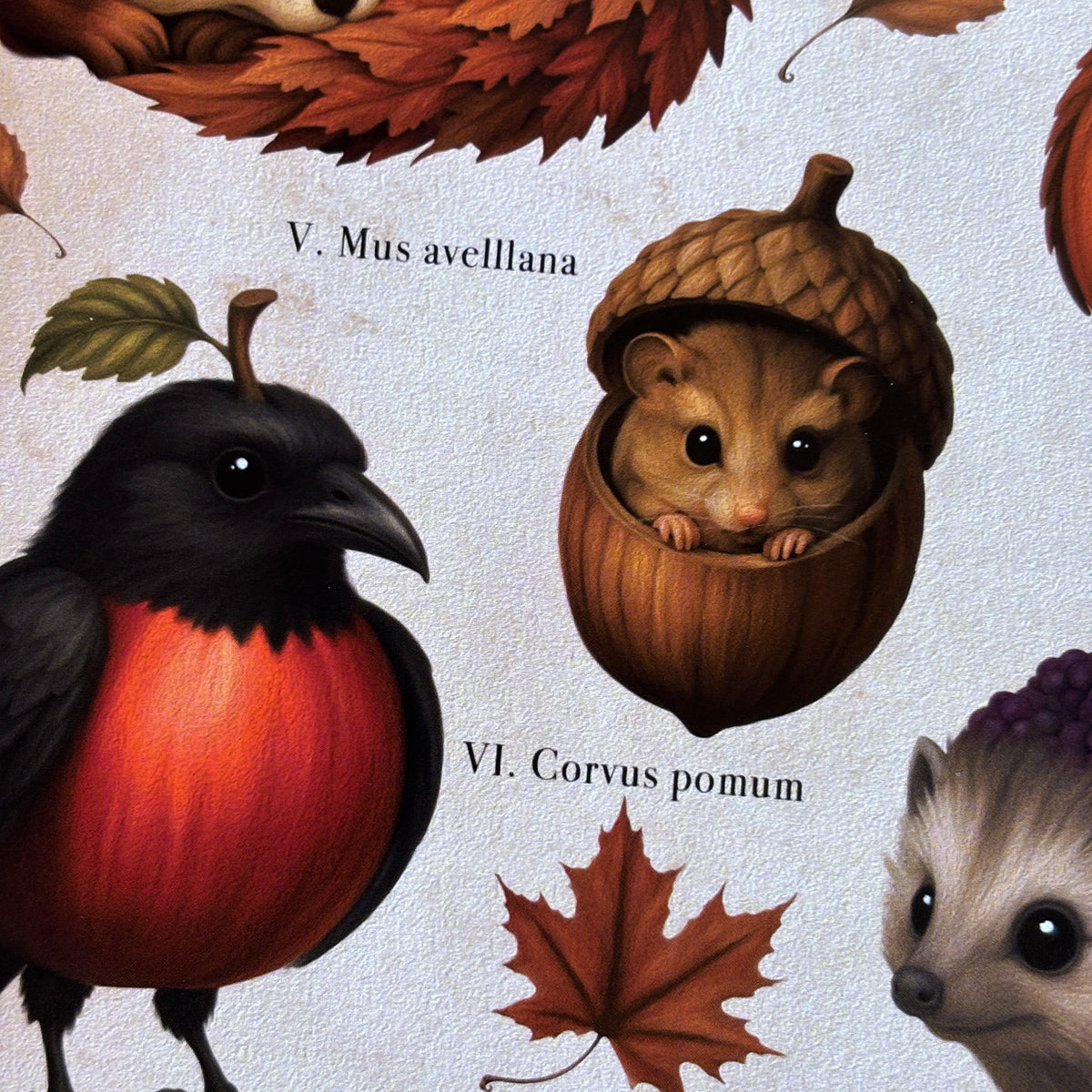Impression A4 « Curieuse Faune Automnale ». Affiche botanique