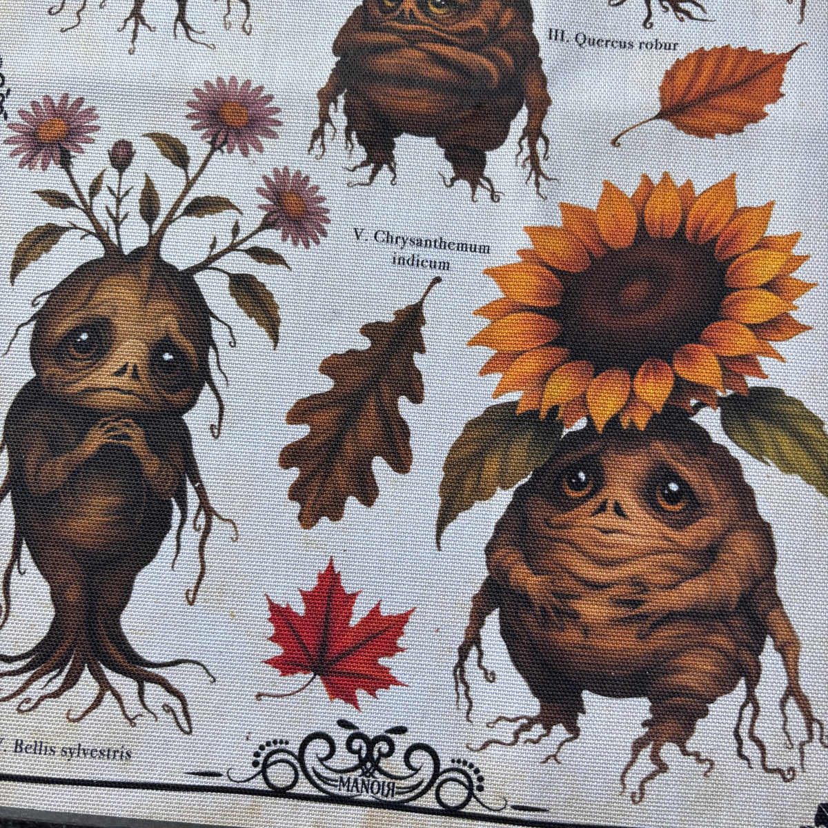 Poster tissu Mandragores d’Automne. Décoration murale botanique dark academia. Largeur 28 cm