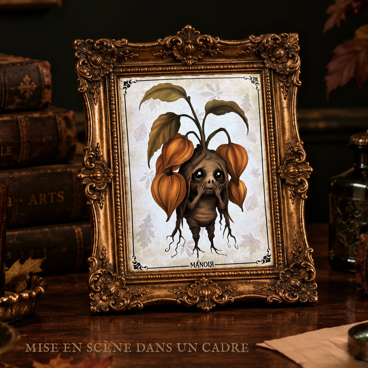 Carte postale Mandragore Physalis. Illustration botanique automnale