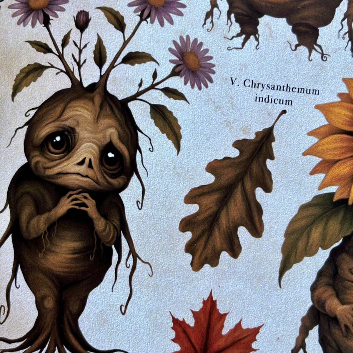 Impression A4 « Mandragores d’Automne ». Affiche botanique