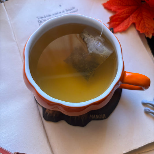 Sous-tasse Chouette Citrouille en Simili cuir illustré