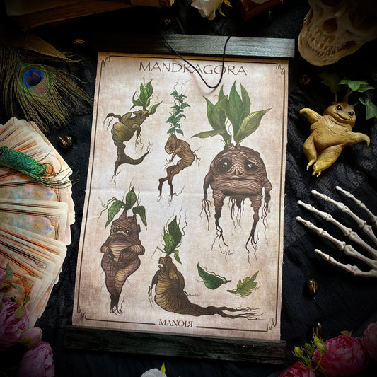 Mandragora. Poster en tissu et bois de pin. Largeur 28 cm