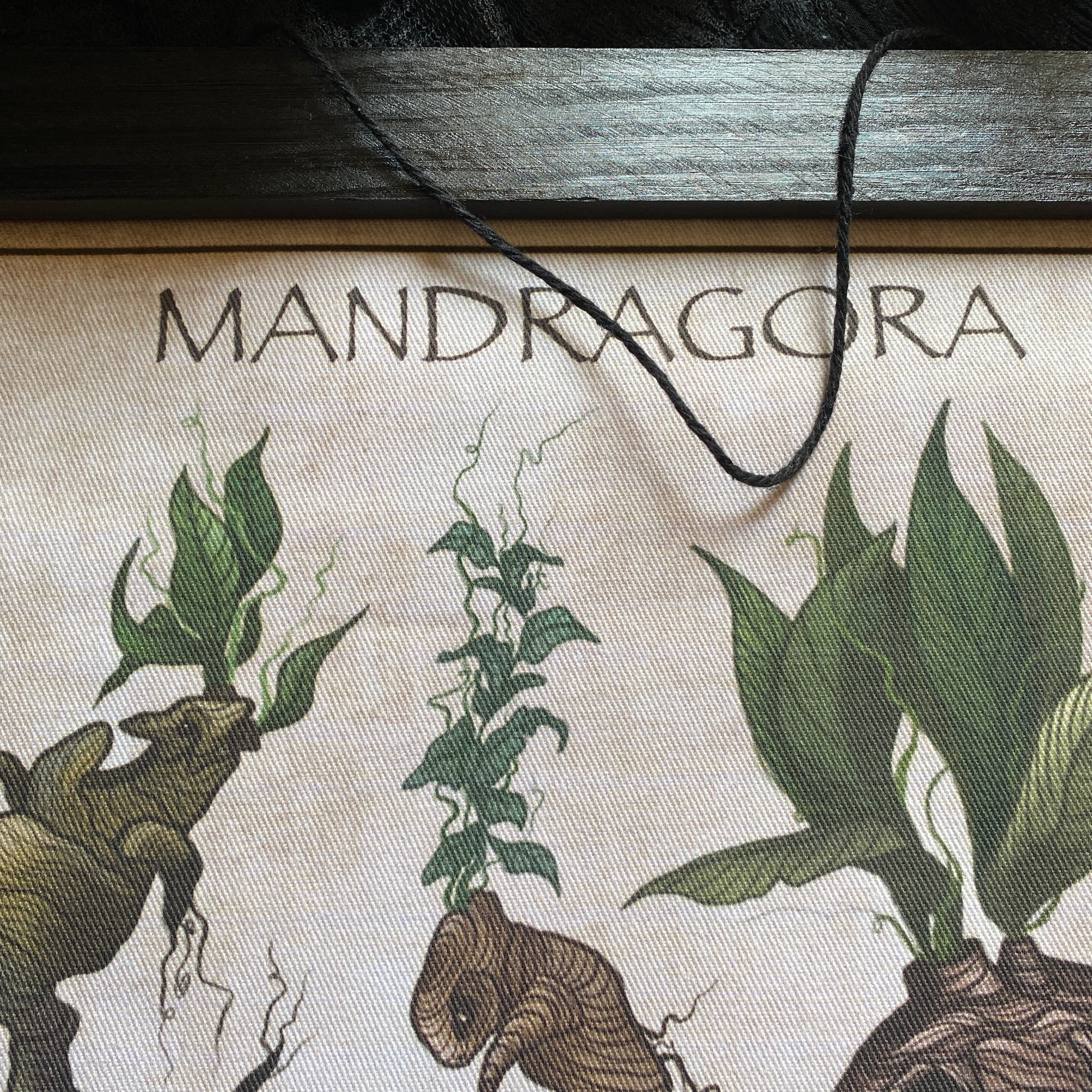 Mandragora. Poster en tissu et bois de pin. Largeur 28 cm