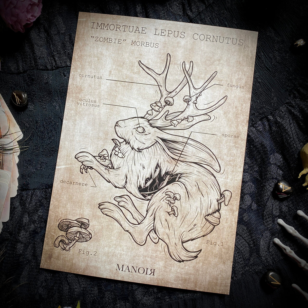 Zombie Lepus Cornutus. Impression A4.