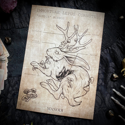 Zombie Lepus Cornutus. Impression A4.