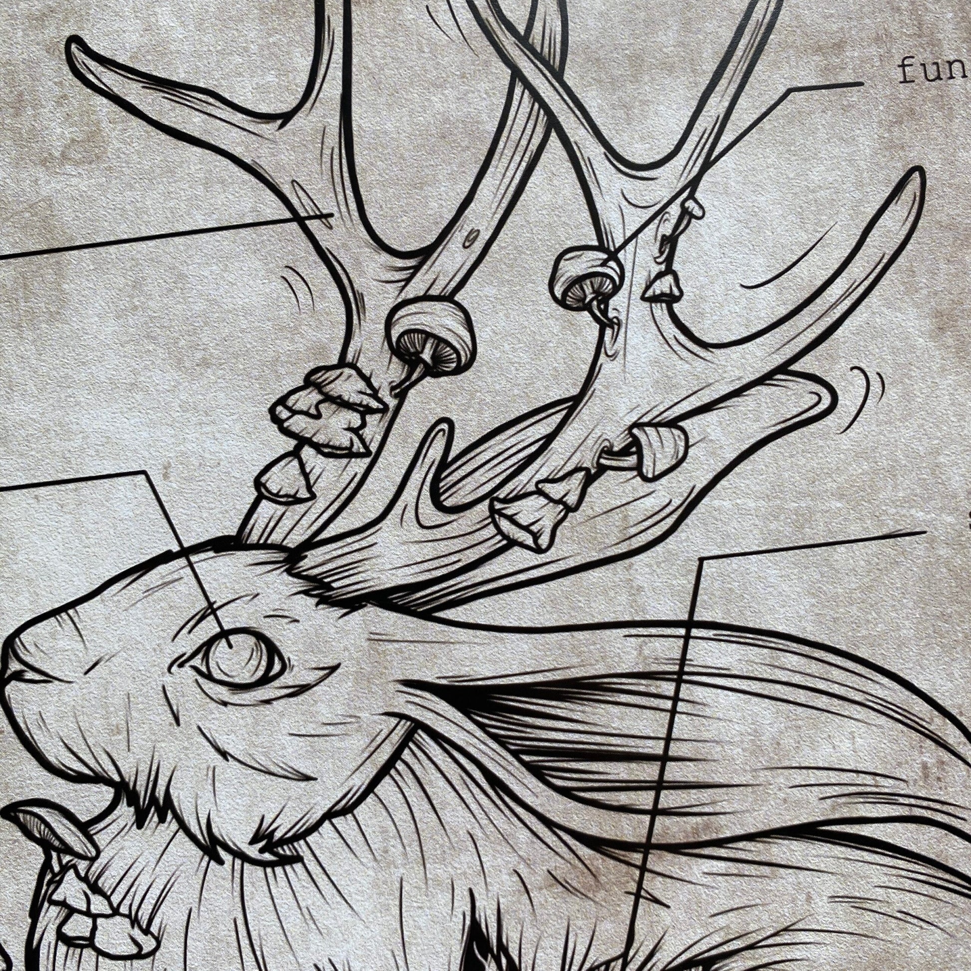 Zombie Lepus Cornutus. Impression A4.