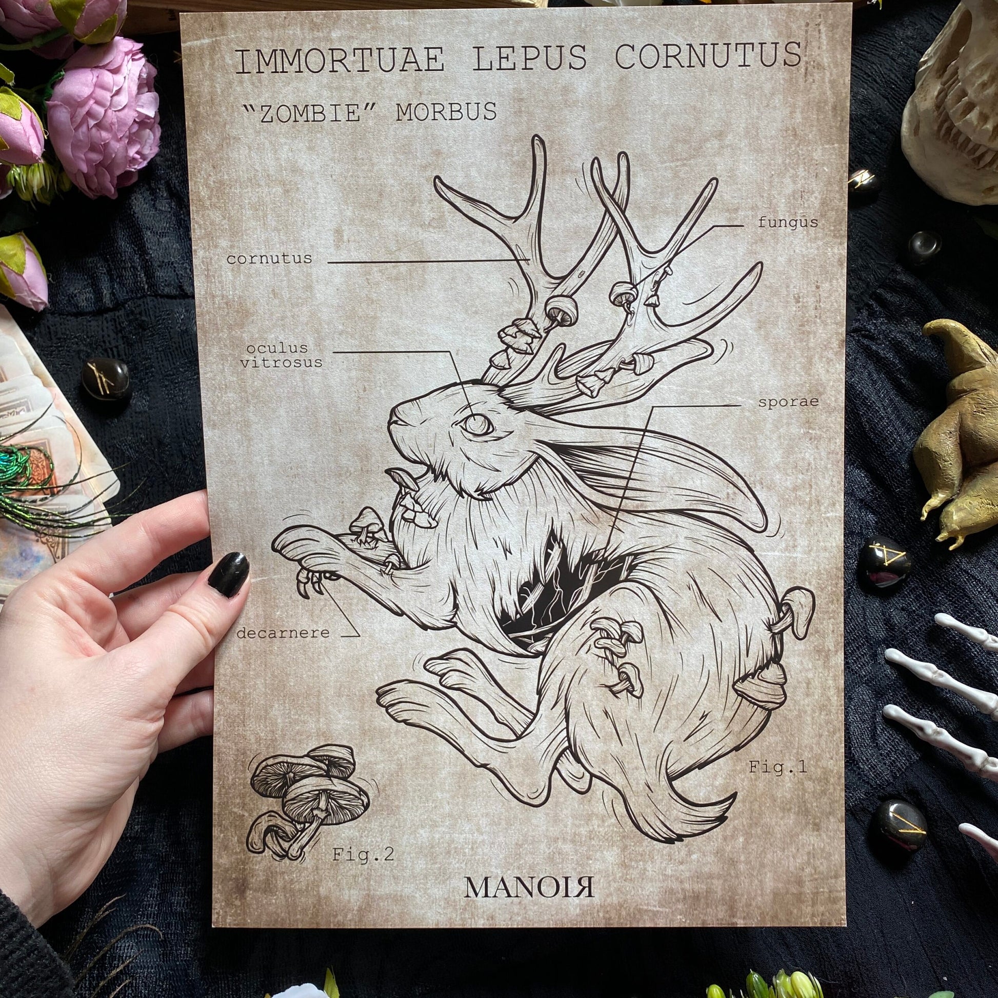 Zombie Lepus Cornutus. Impression A4.