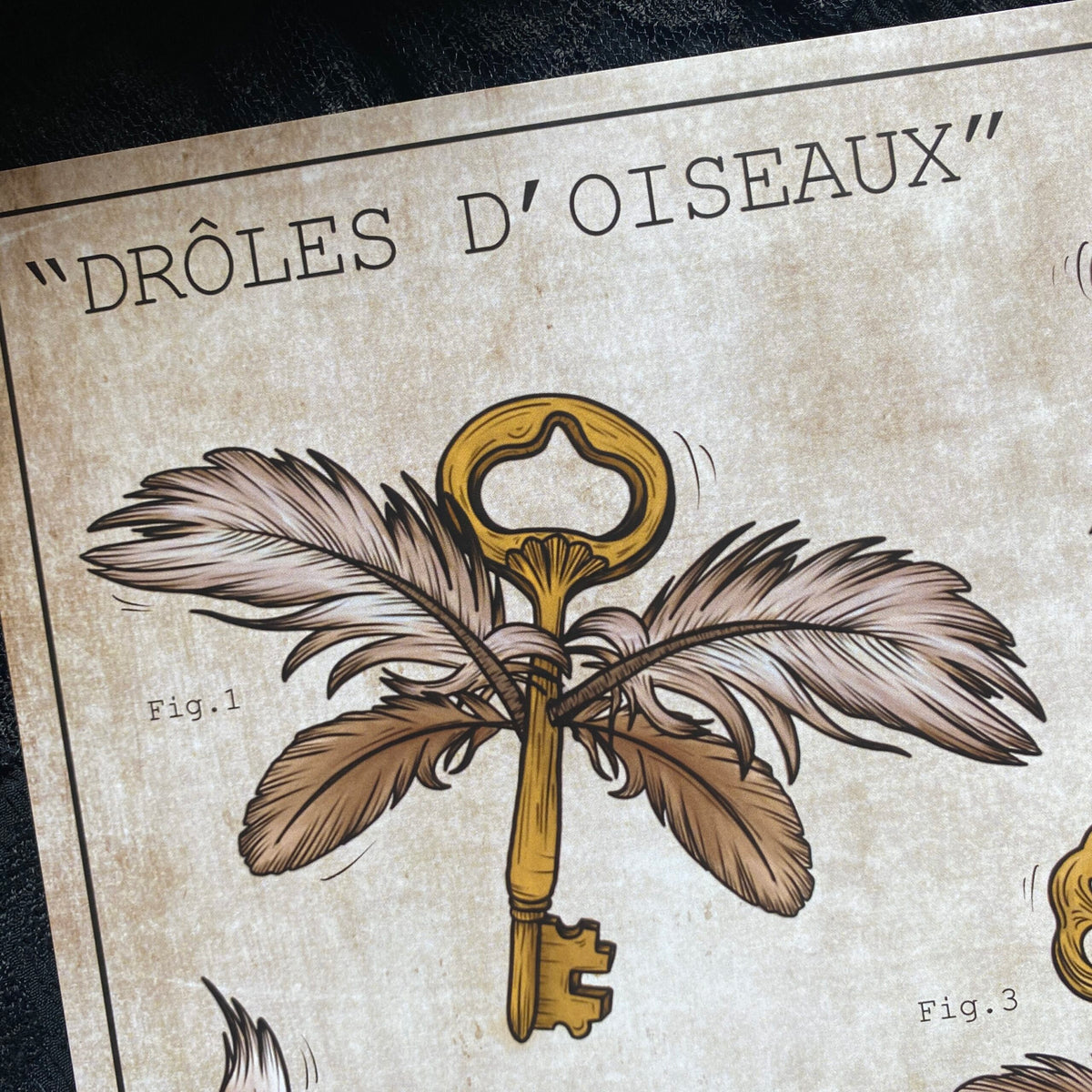 Drôle d'oiseaux. Impression A4.