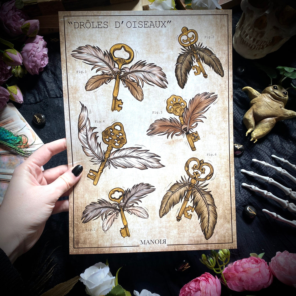 Drôle d'oiseaux. Impression A4.