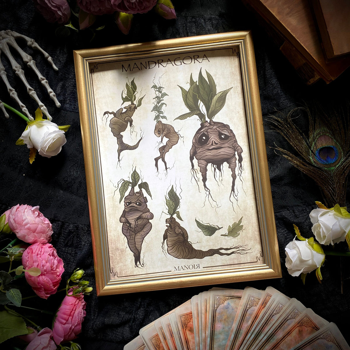 Mandragora. Impression A4.