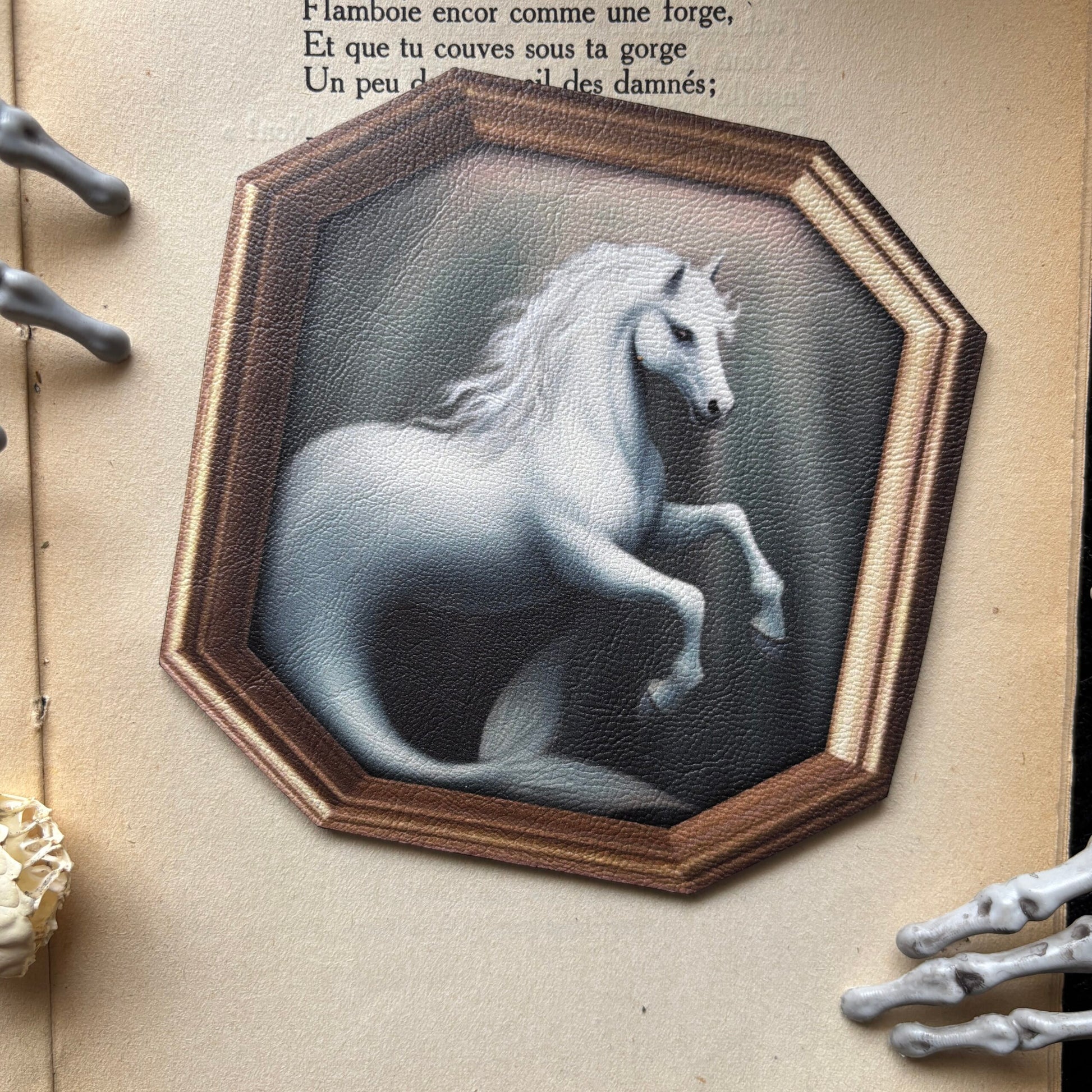 Sous Tasse. Écume mystique, l’hippocampe