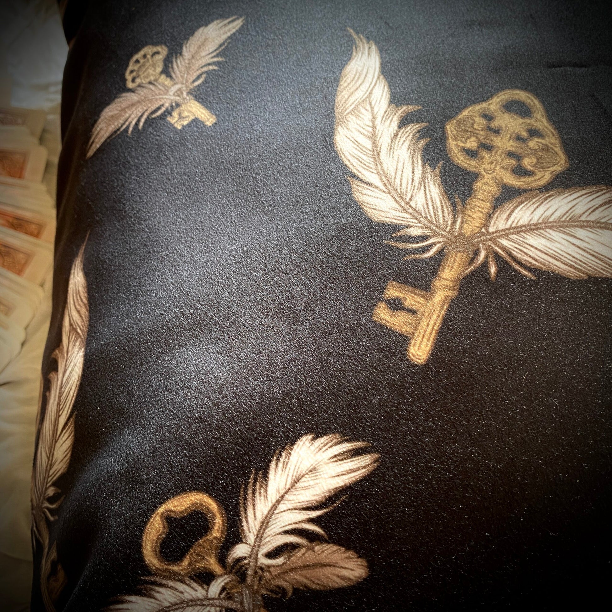 Dark Academia. Housse de coussin