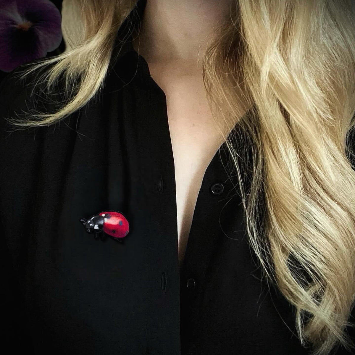 Pin’s. Coccinelle. Bijoux de col, sac, pull