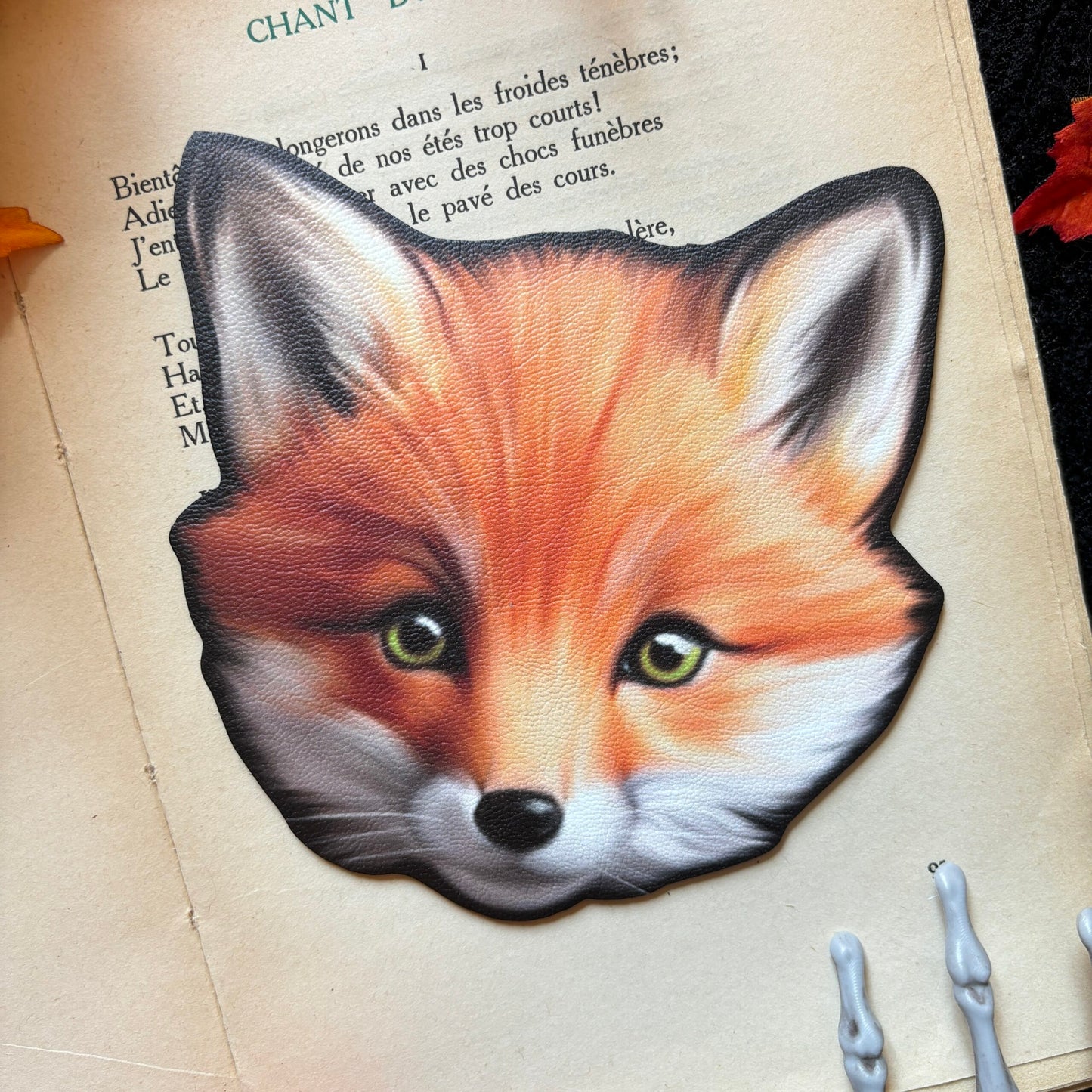 Sous Tasse. Renard