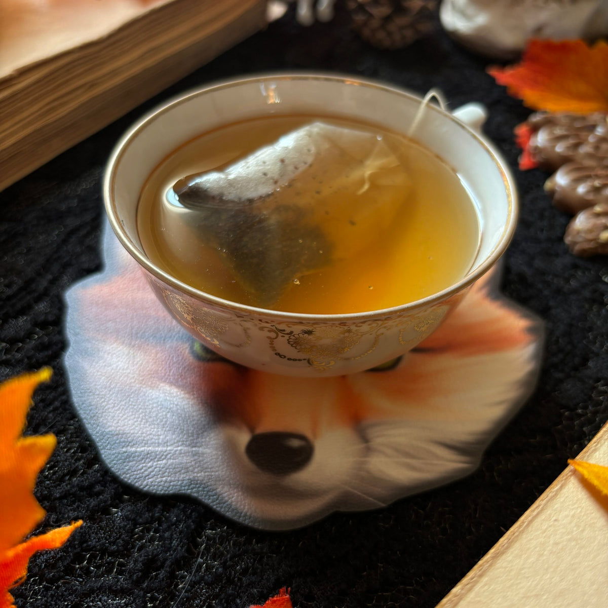 Sous Tasse. Renard