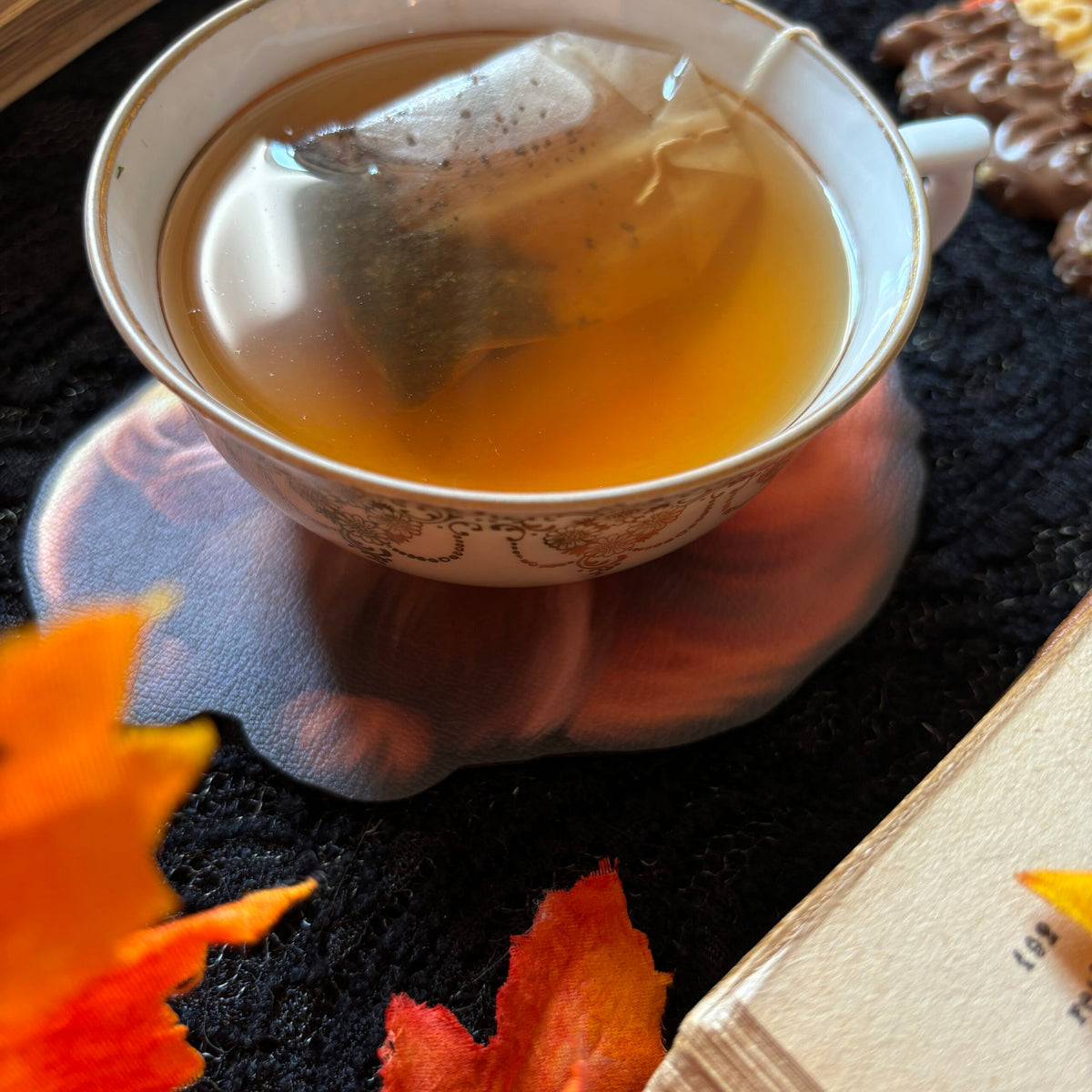 Sous Tasse. Écureuil