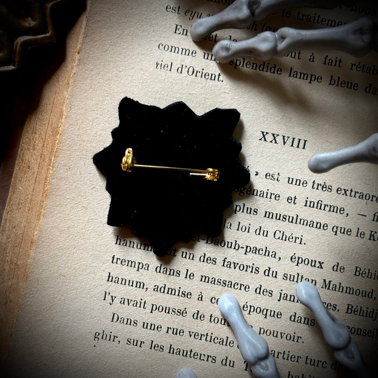 Broche. Sacré Cœur. Bijou, pins.