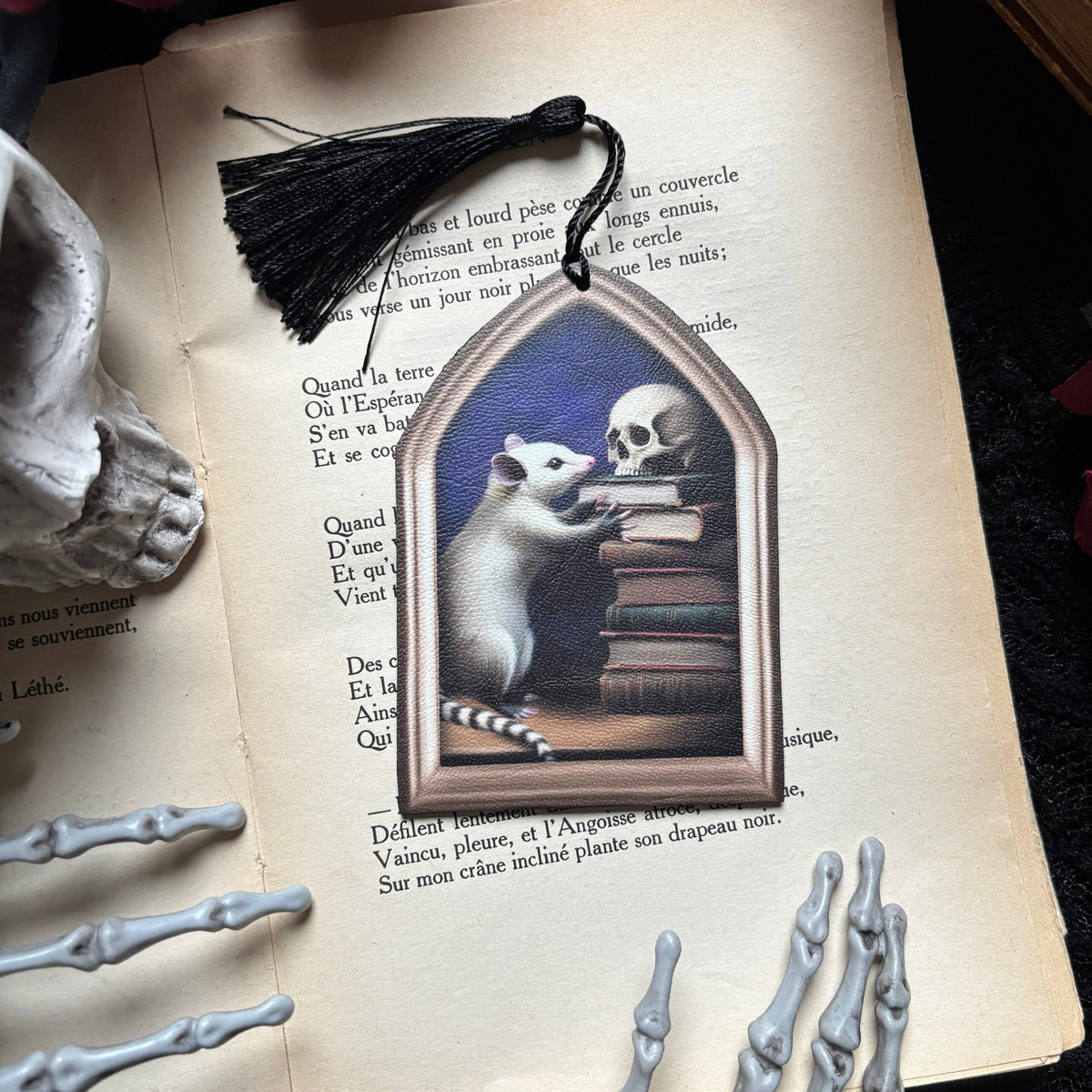 Un opossum aux archives. Marque Page