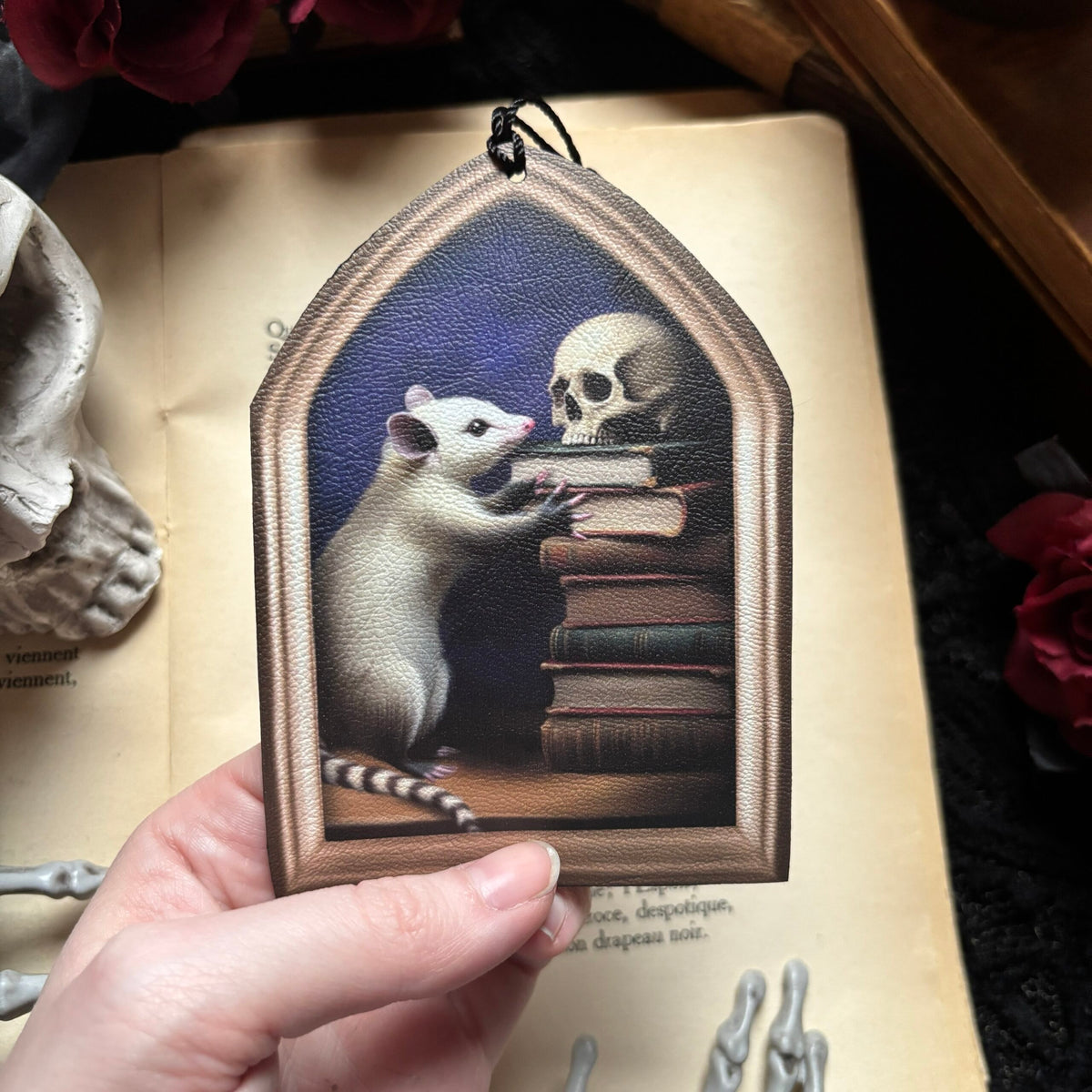 Un opossum aux archives. Marque Page
