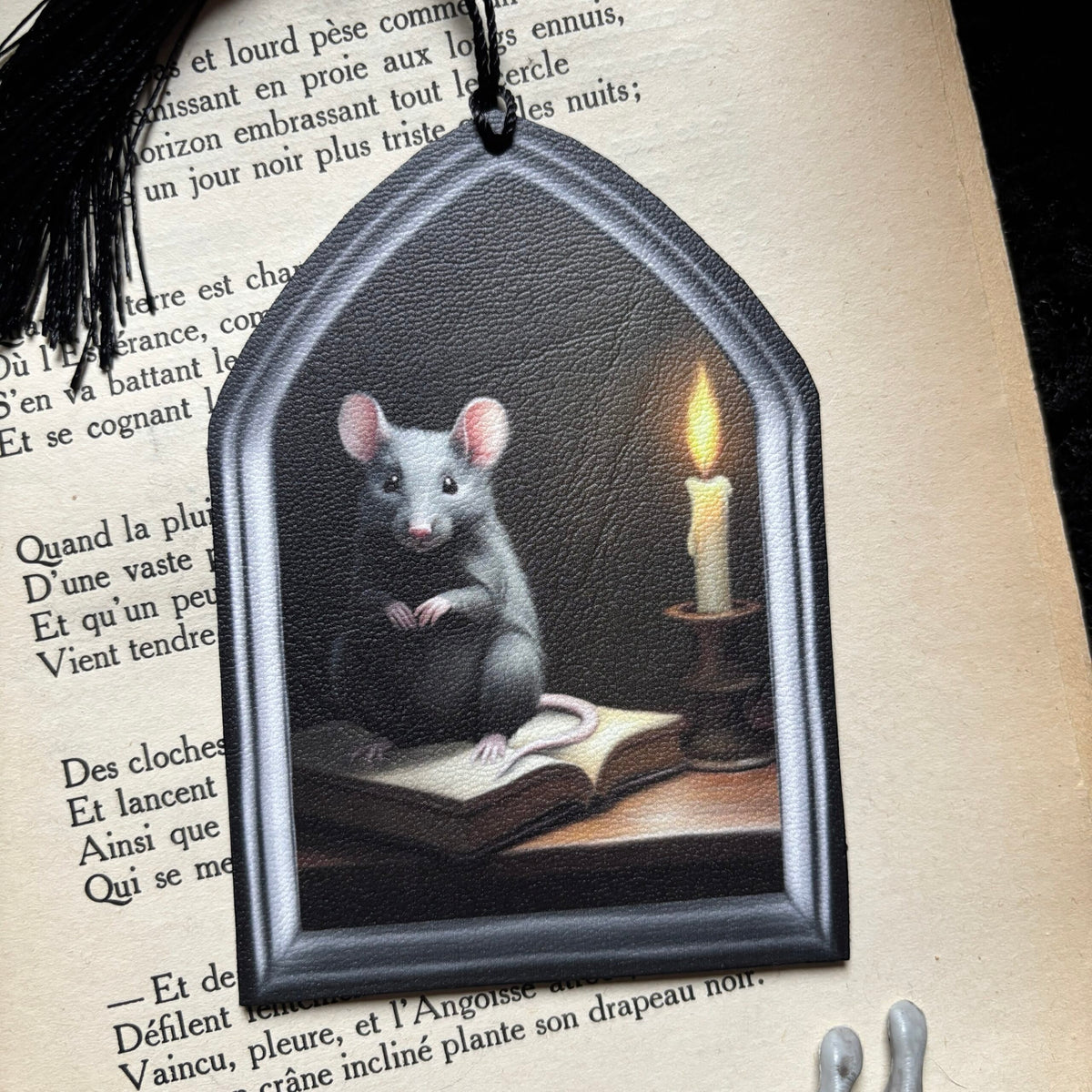 Rat de bibliothèque. Marque Page