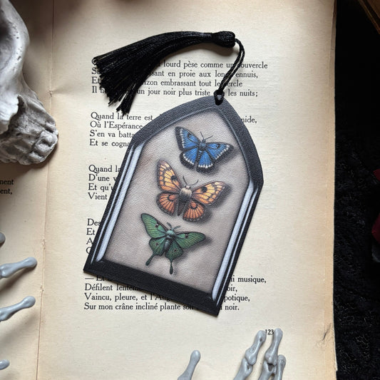 Entomologie