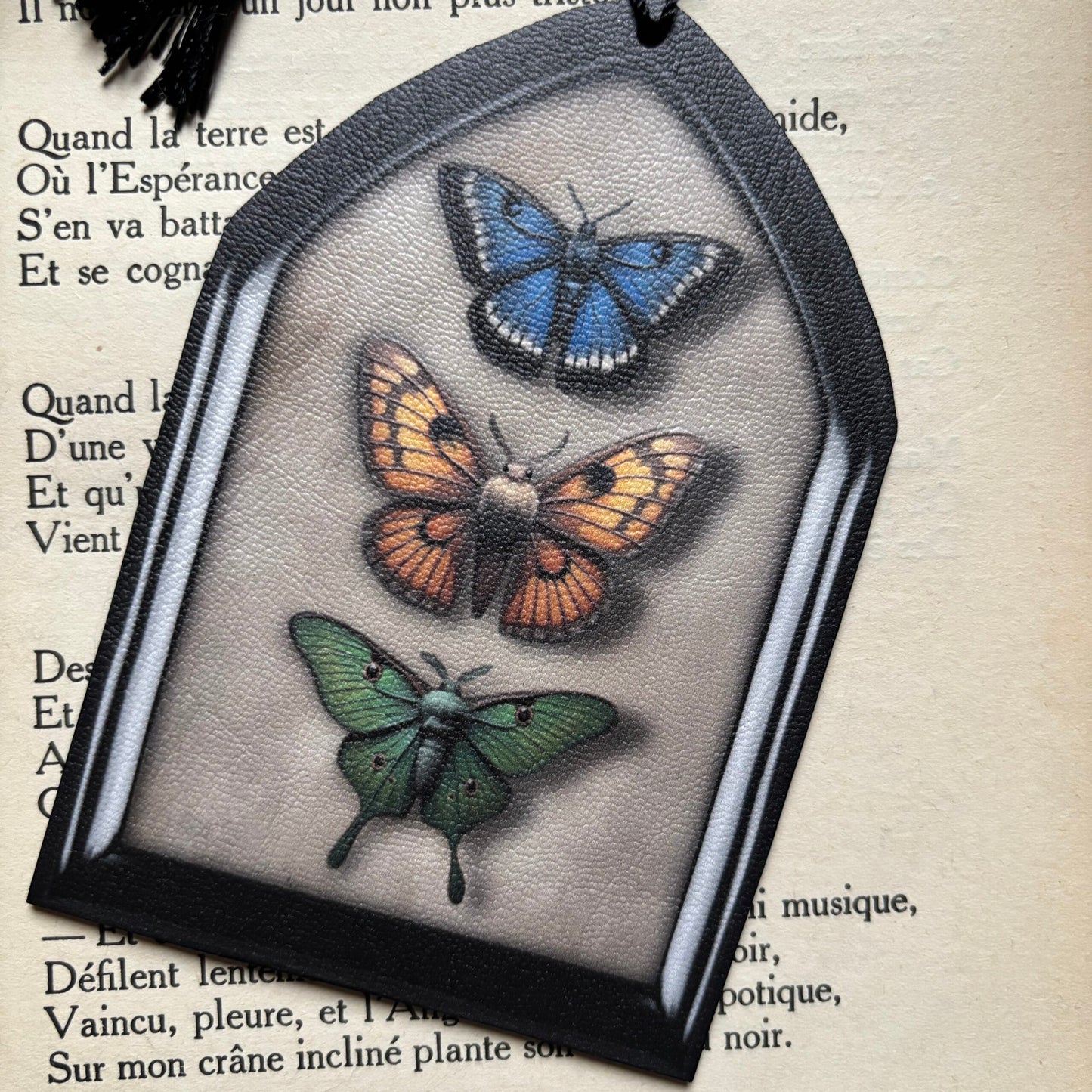 Entomologie