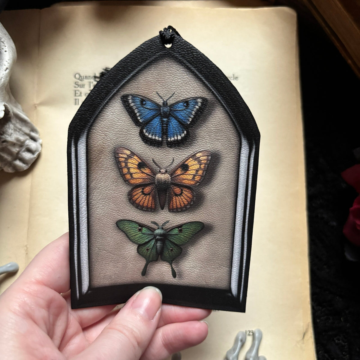 Entomologie