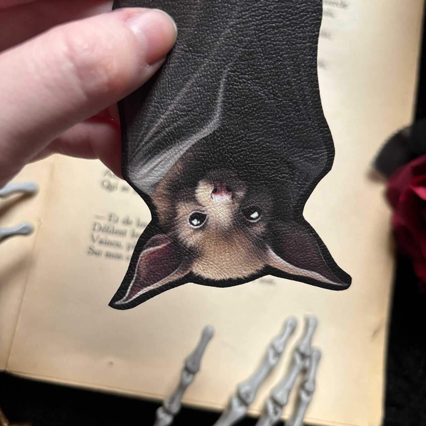 Mavis, la chauve-souris