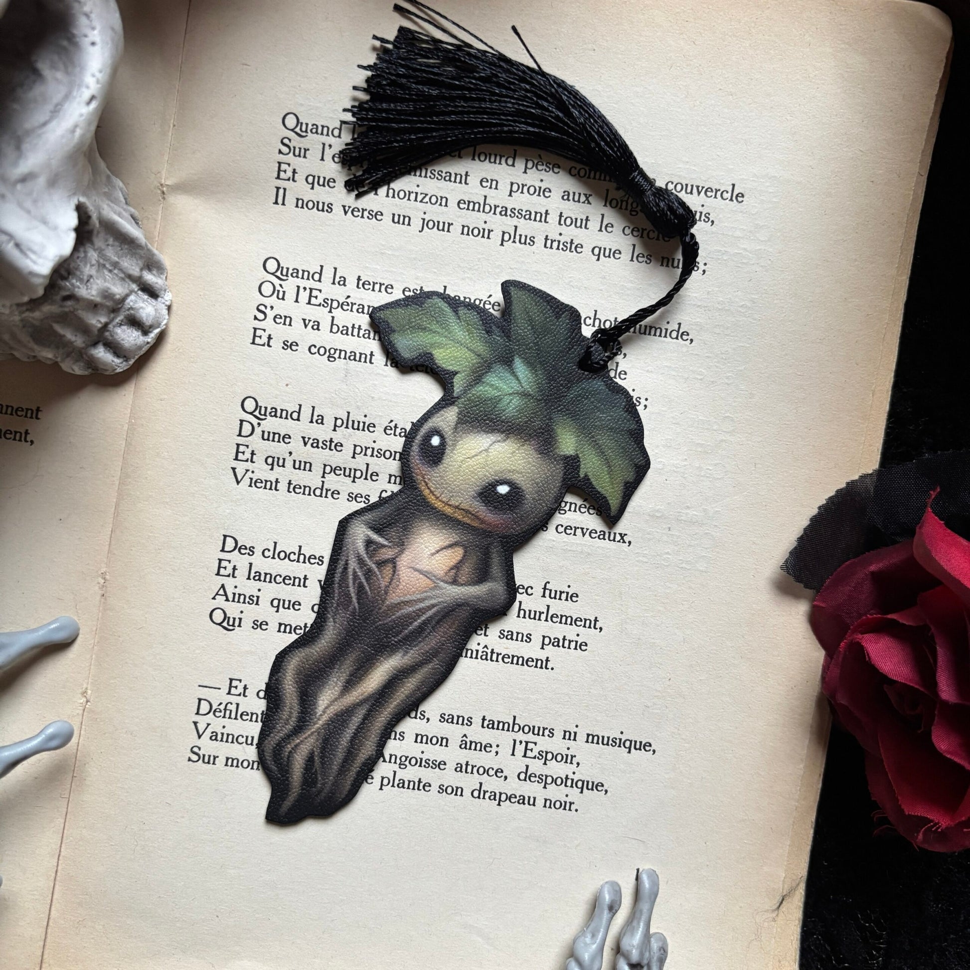 Mandragora