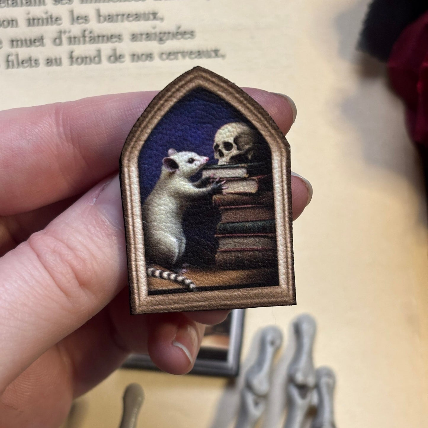 Magnet. Un opossum aux archives