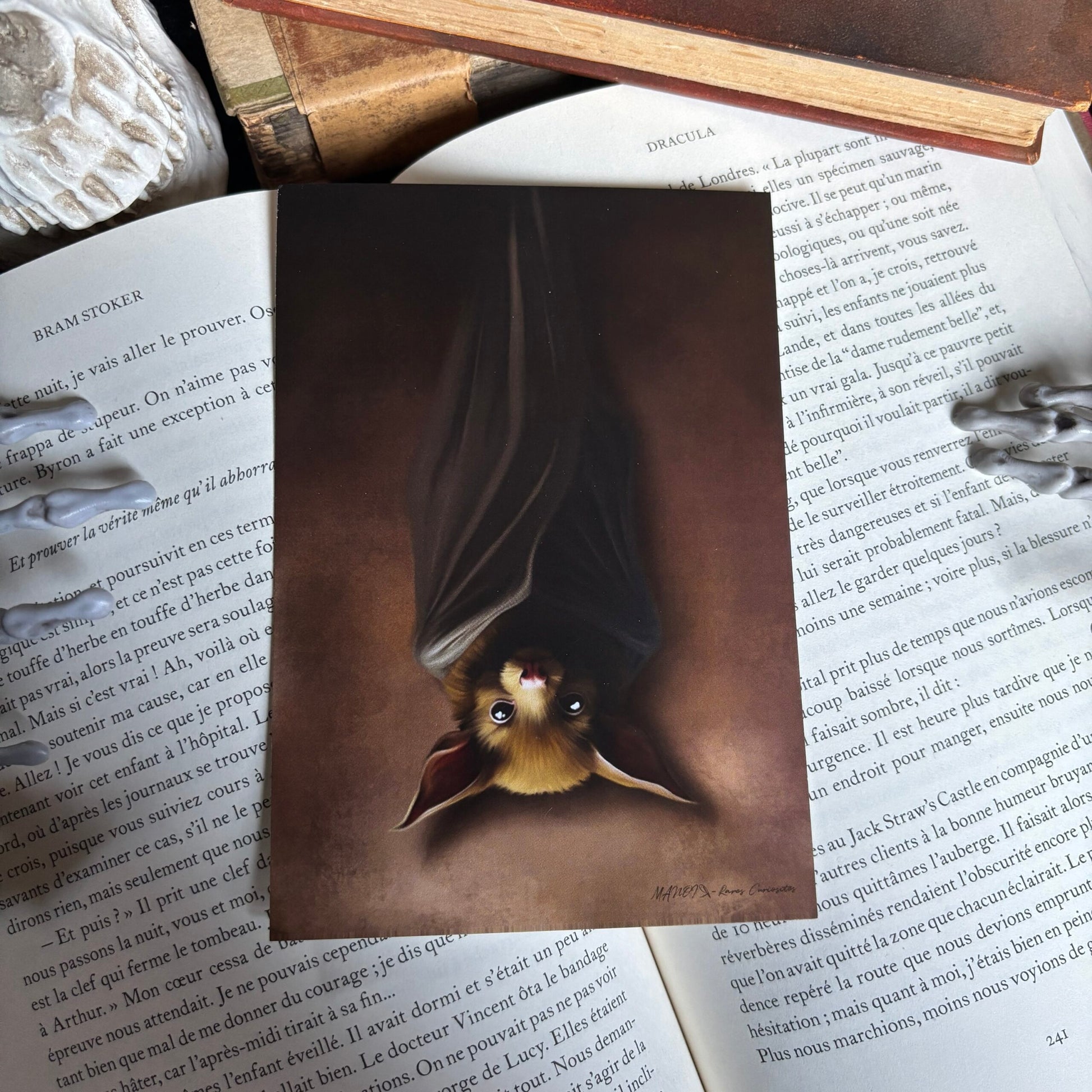 La Chauve-souris. Impression A4 et A6