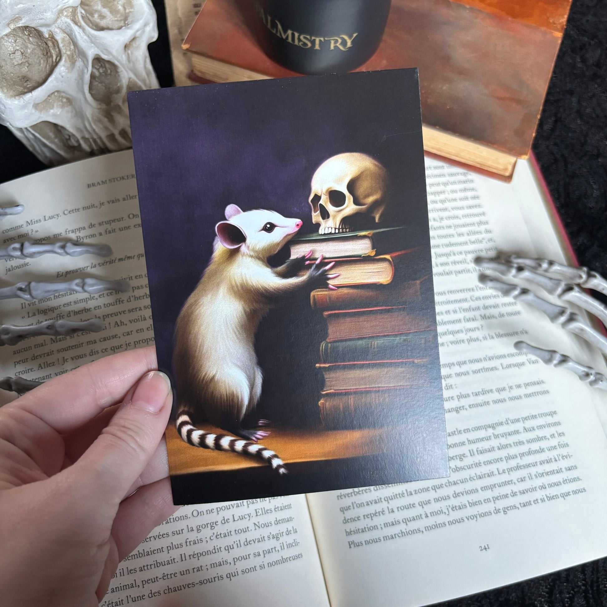 Un opossum aux Archives. Impression A4 et A6