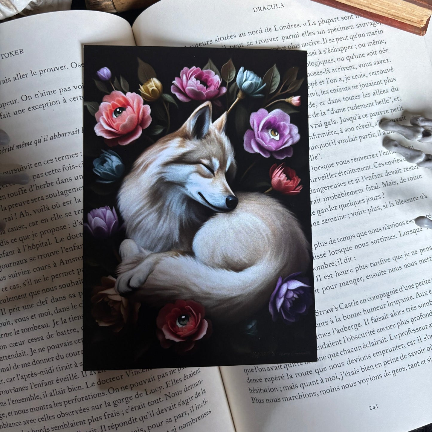 Le repos du Loup. Impression A4 et A6