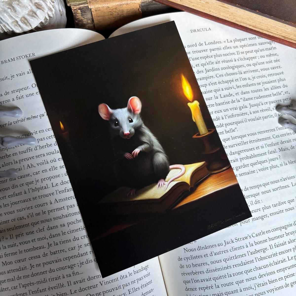 Rat de Bibliothèque. Impression A4 et A6