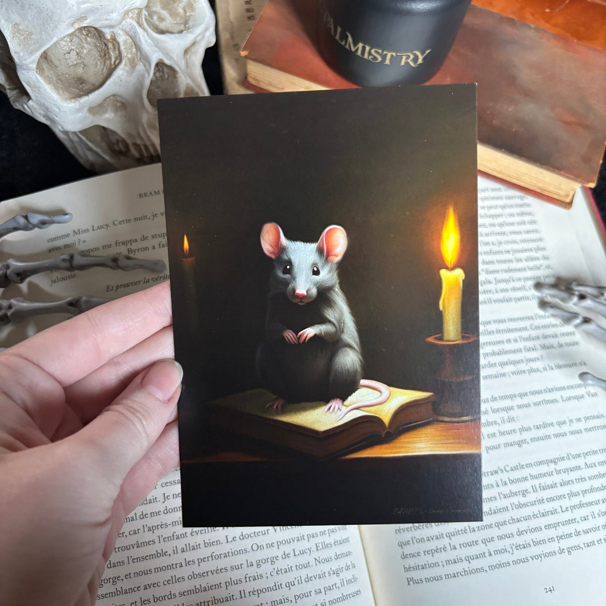 Rat de Bibliothèque. Impression A4 et A6